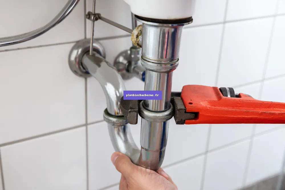 Plombier Barberaz (73000)